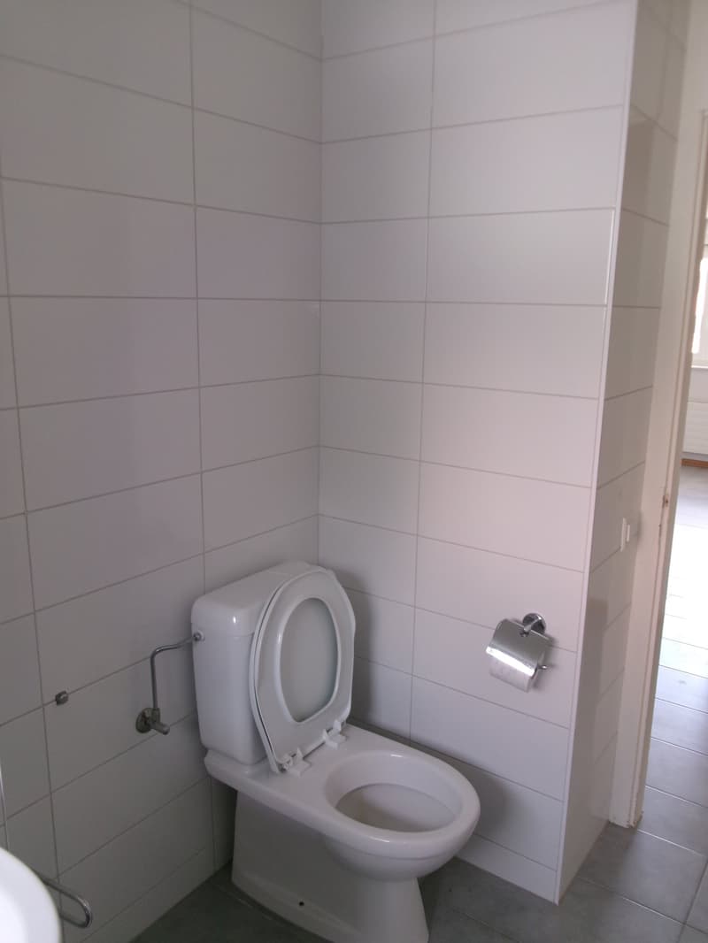 Appartement 2.5 pièces lumineux et calme à La Chaux-de-Fonds (3)