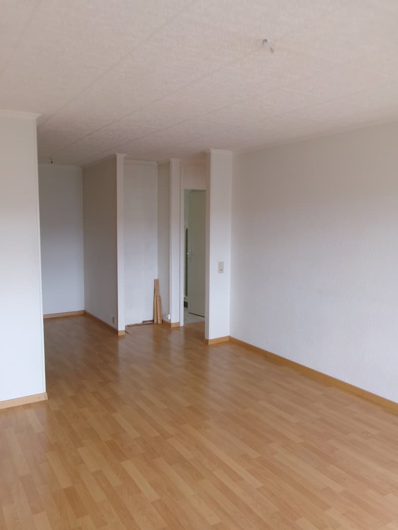 Charmant appartement de 4.5 pièces à La Chaux-de-Fonds (7)