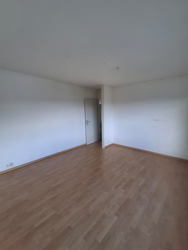 Magnifique appartement en attique de 4.5 pièces avec vue panoramique – La Chaux-de-Fonds (9)