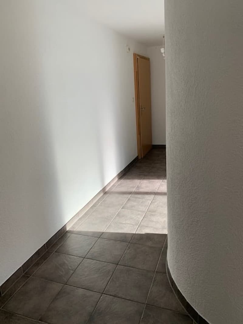 A hallway with tiled floor and white walls, a brown door.