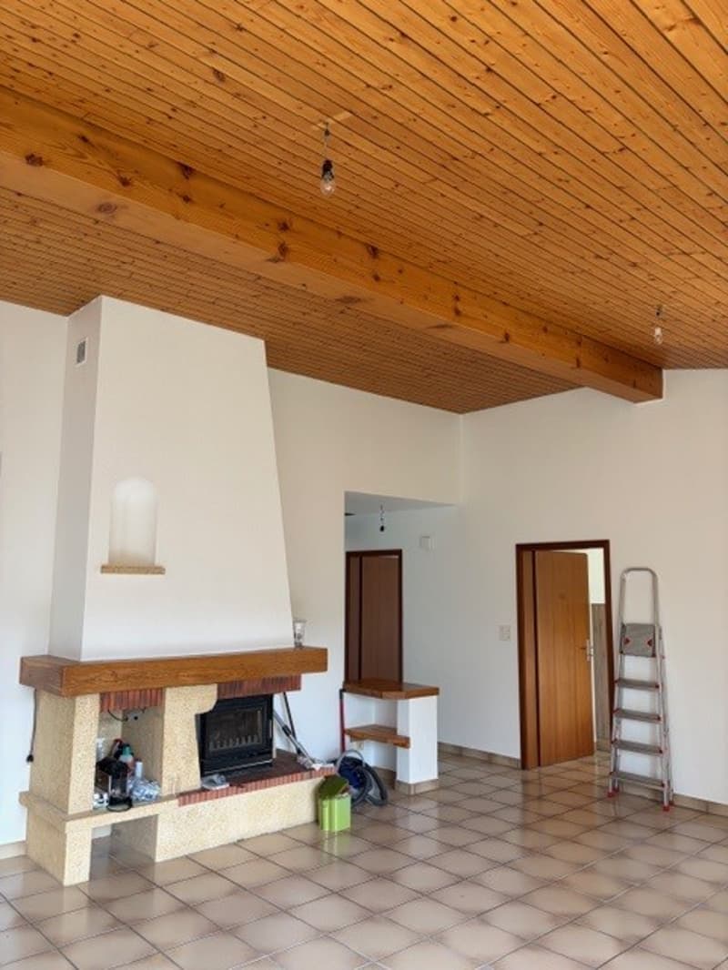 Fireplace, wooden ceiling, tiled floor, white walls, wooden doors, ladder