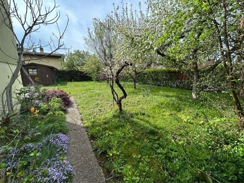 A garden with a grassy lawn, a pathway, and a shed. The garden is surrounded by a hedge and has a variety of plants and trees, including apple trees.