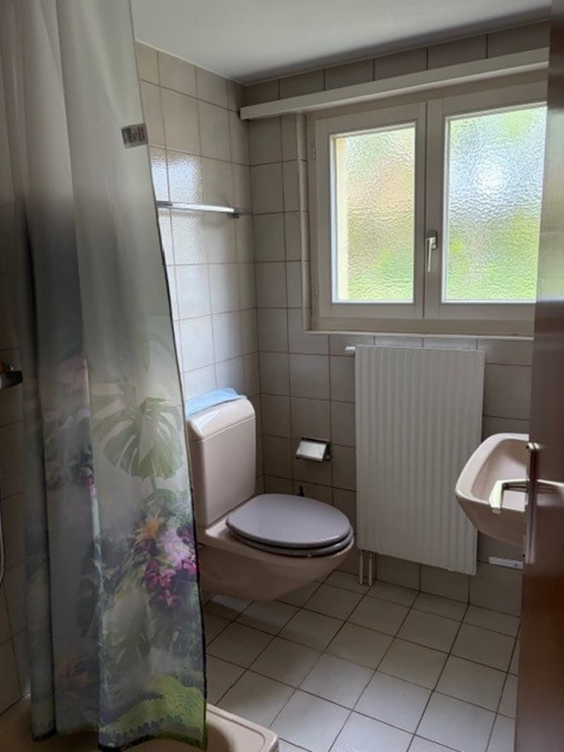 Bathroom with toilet, sink, shower curtain, radiator, and window