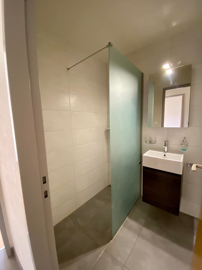 Appartement lumineux de 4.5 pièces avec terrasse et extérieurs (4)