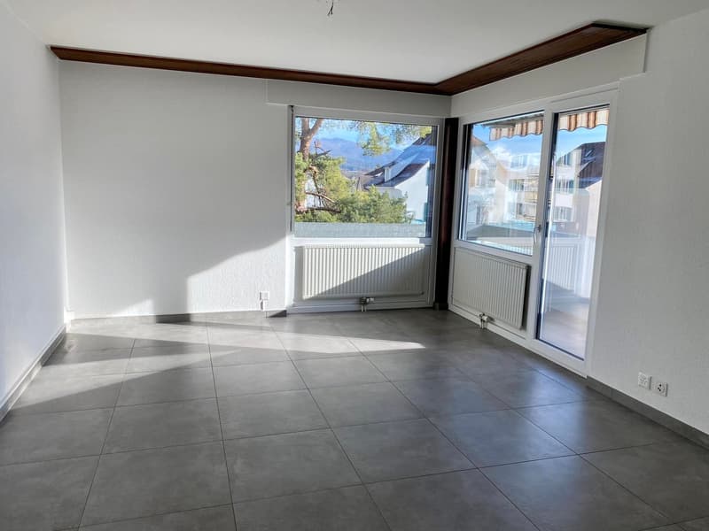 Appartement lumineux de 4.5 pièces avec terrasse et extérieurs (3)