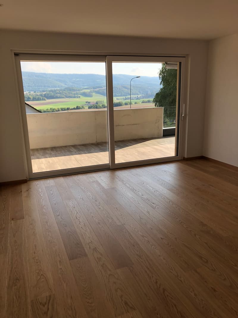 Spacieux et lumineux appartement de 5.5 pièces à Porrentruy (11)