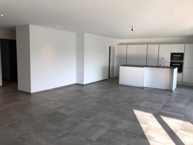 Spacieux et lumineux appartement de 5.5 pièces à Porrentruy (1)