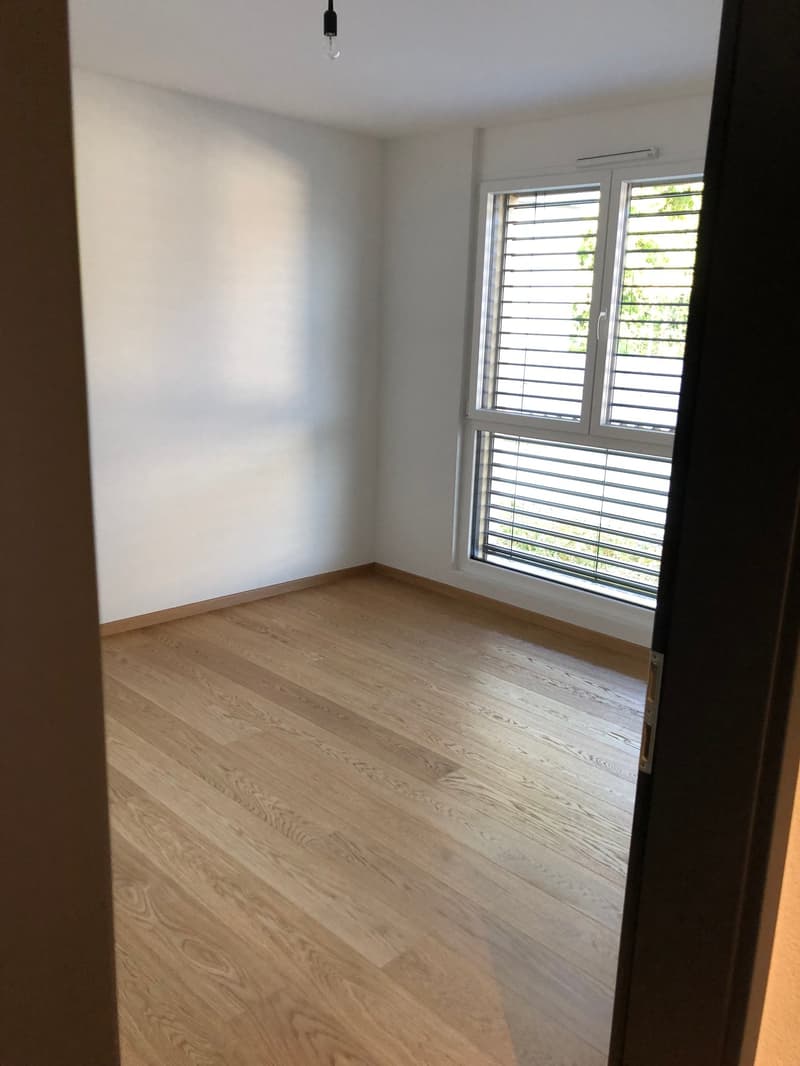 Spacieux et lumineux appartement de 5.5 pièces à Porrentruy (6)