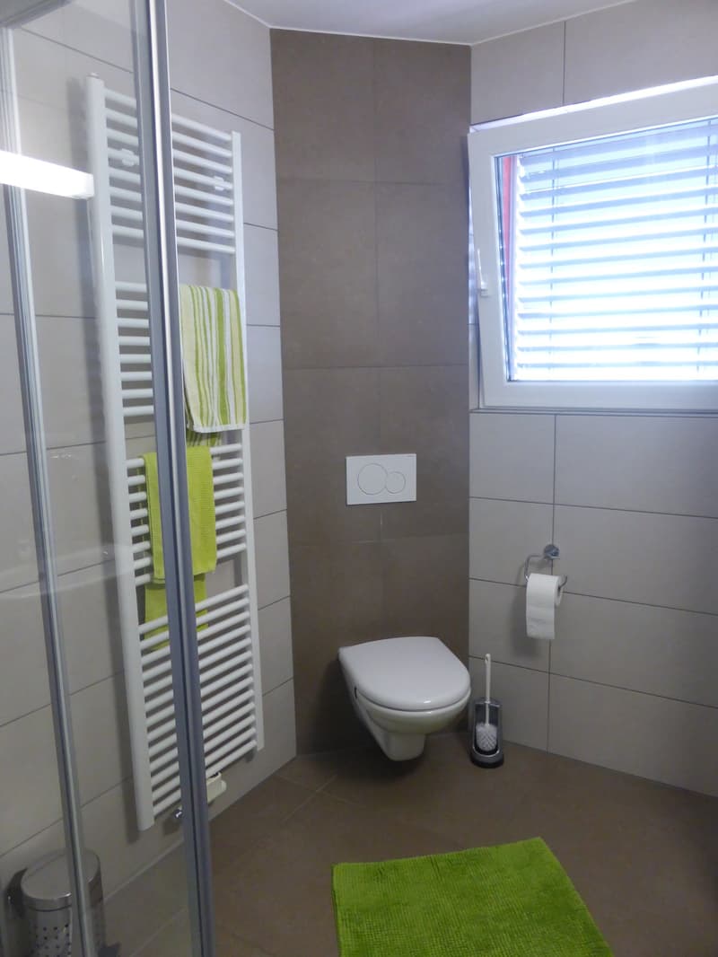 Magnifique appartement attique de 5 pièces à Delémont (8)