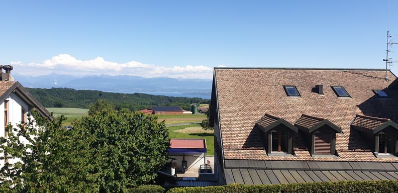 A vendre Immeuble de rendement à Bassins (2)