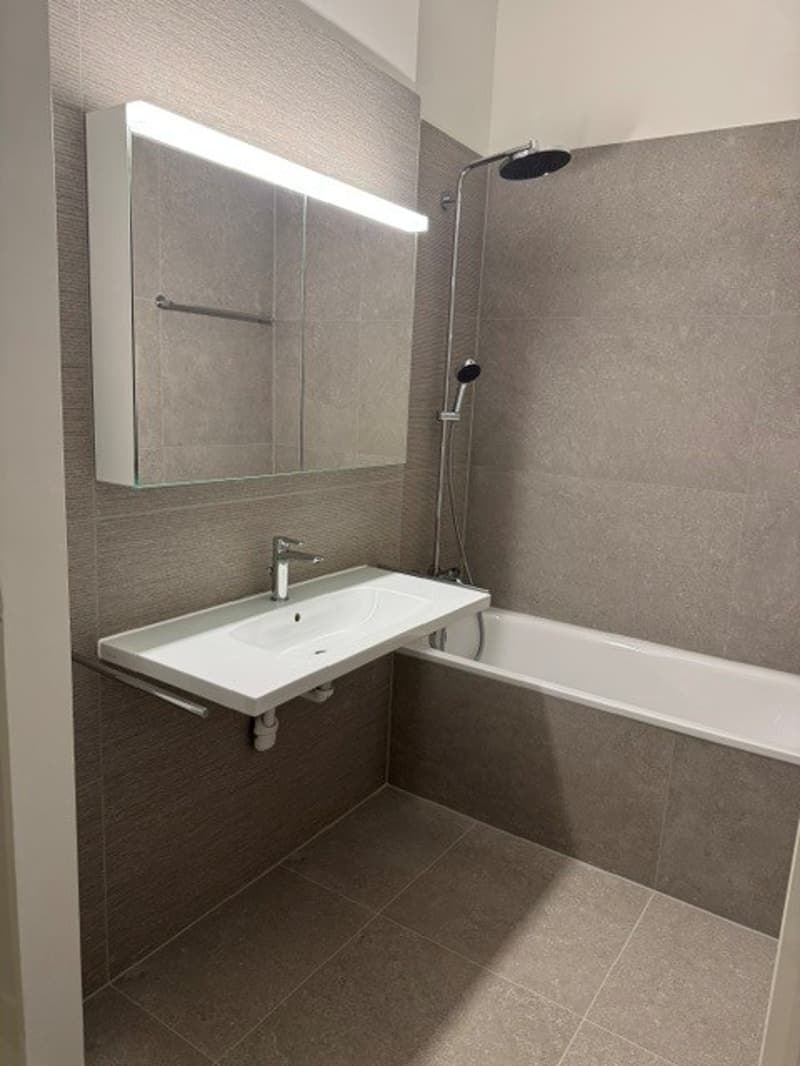 Charmant appartement rénové de 5 pièces au cœur de Lausanne (13)