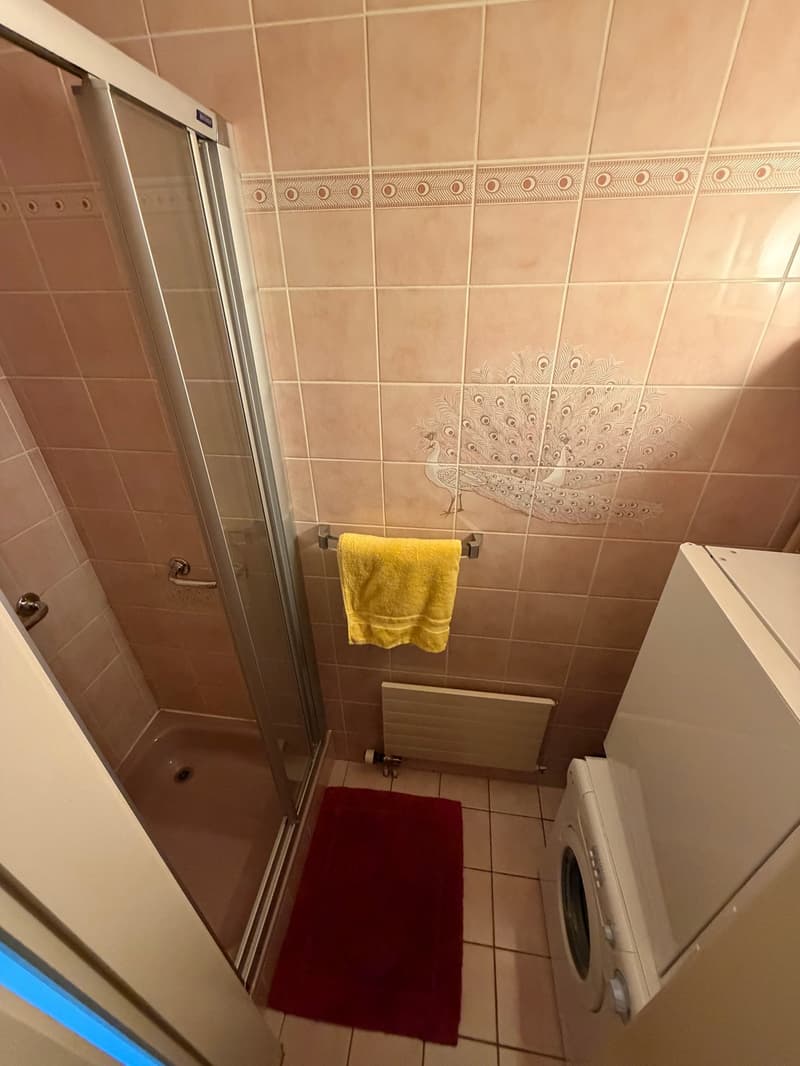 Charmant appartement de 3.5 pièces à Préverenges (3)