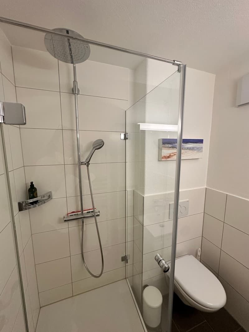 Charmante Ferien-Wohnung in Klosters (8)
