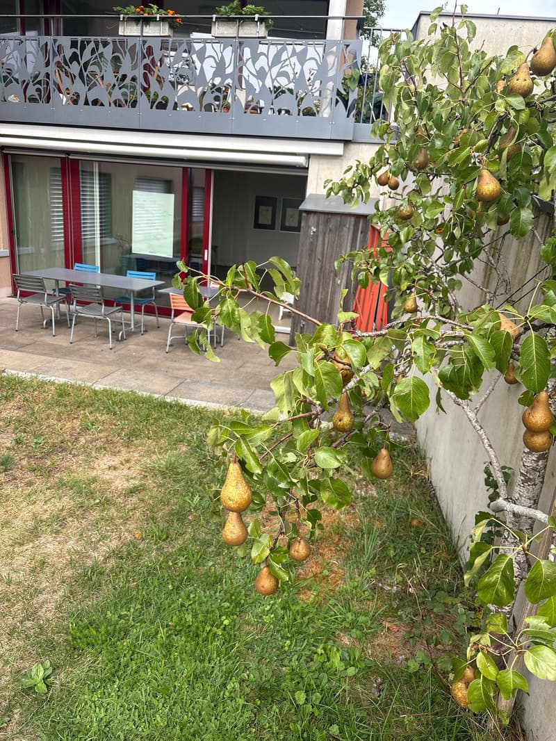 Gemeinschaftsgarten zum Gemeinschaftsraum/Küche für Events buchbar
