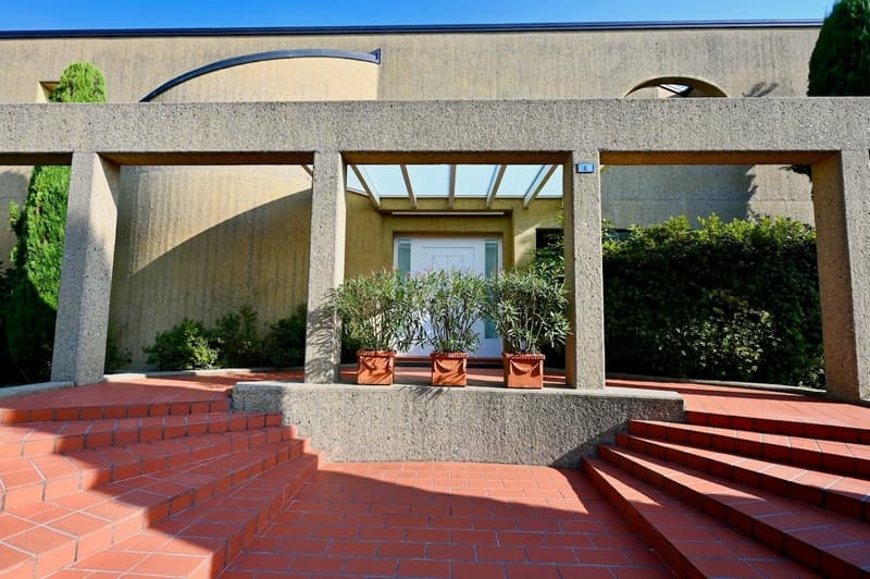 modern building entrance with steps, concrete wall, plants, white door