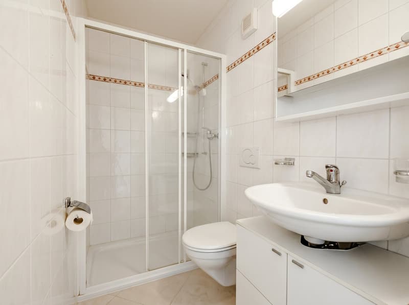 Maison de 6.5 pièces dans un quartier familial recherché (10)
