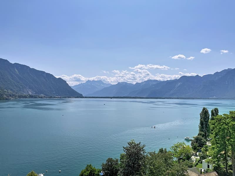 MONTREUX, EN PREMIÈRE LOGE - Une adresse emblématique face au Léman (2)