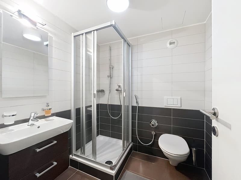 LE LÉMAN COMME DÉCOR - appartement d’exception au cœur de Montreux (12)