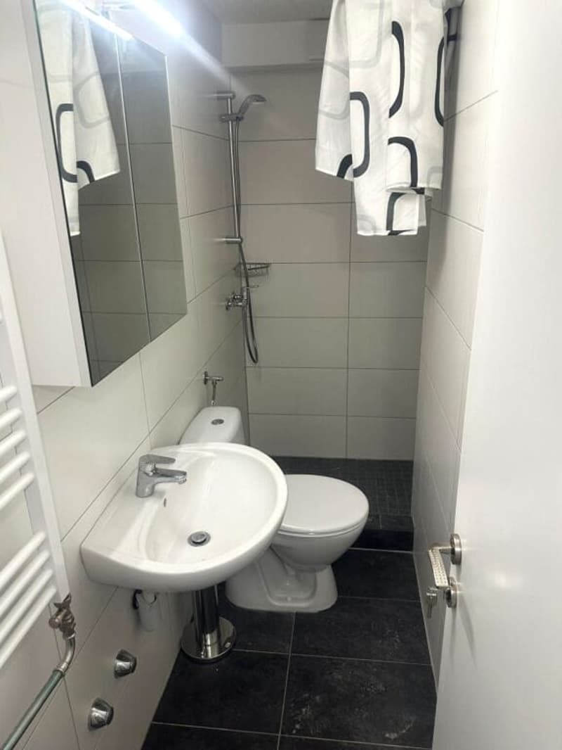 MFH mit 10 Whg + Gewerbe, totalsaniert, zentral in Biel (8)