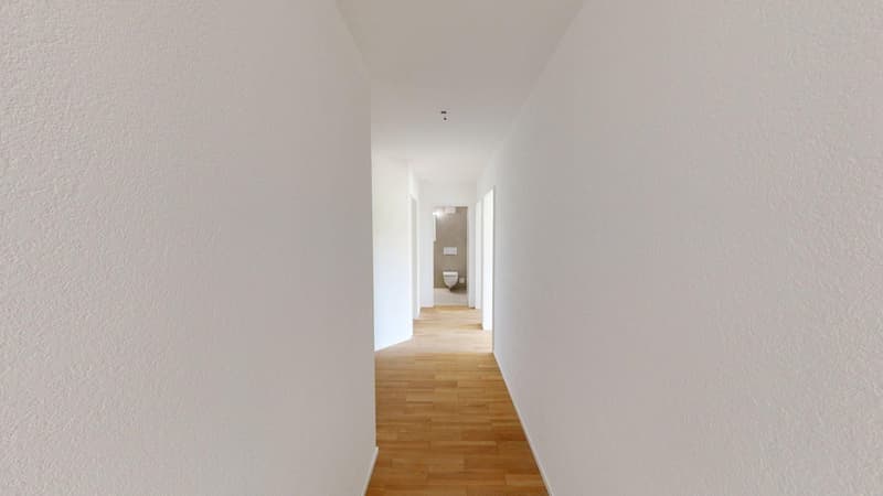 Sanierte 3.5-Zimmerwohnung in Ins Küche und Einbauschränke frei wählbar (9)