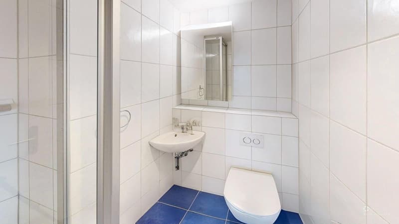 5.5-Zimmer-Attika Traum in Bern (8)
