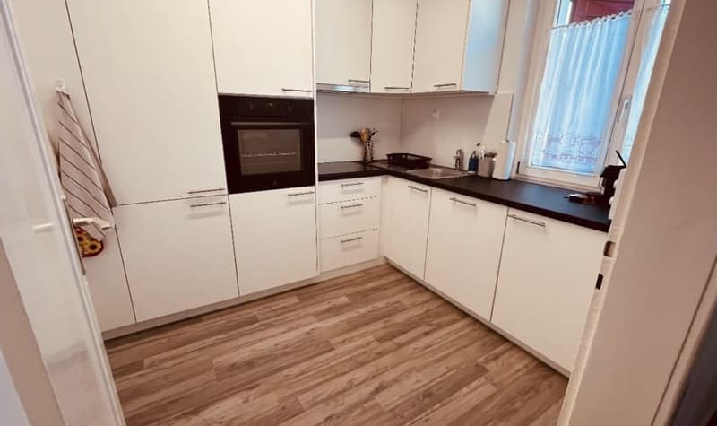 Möblierte 2.5-Zimmer Wohnung im Herzen von Thun (9)