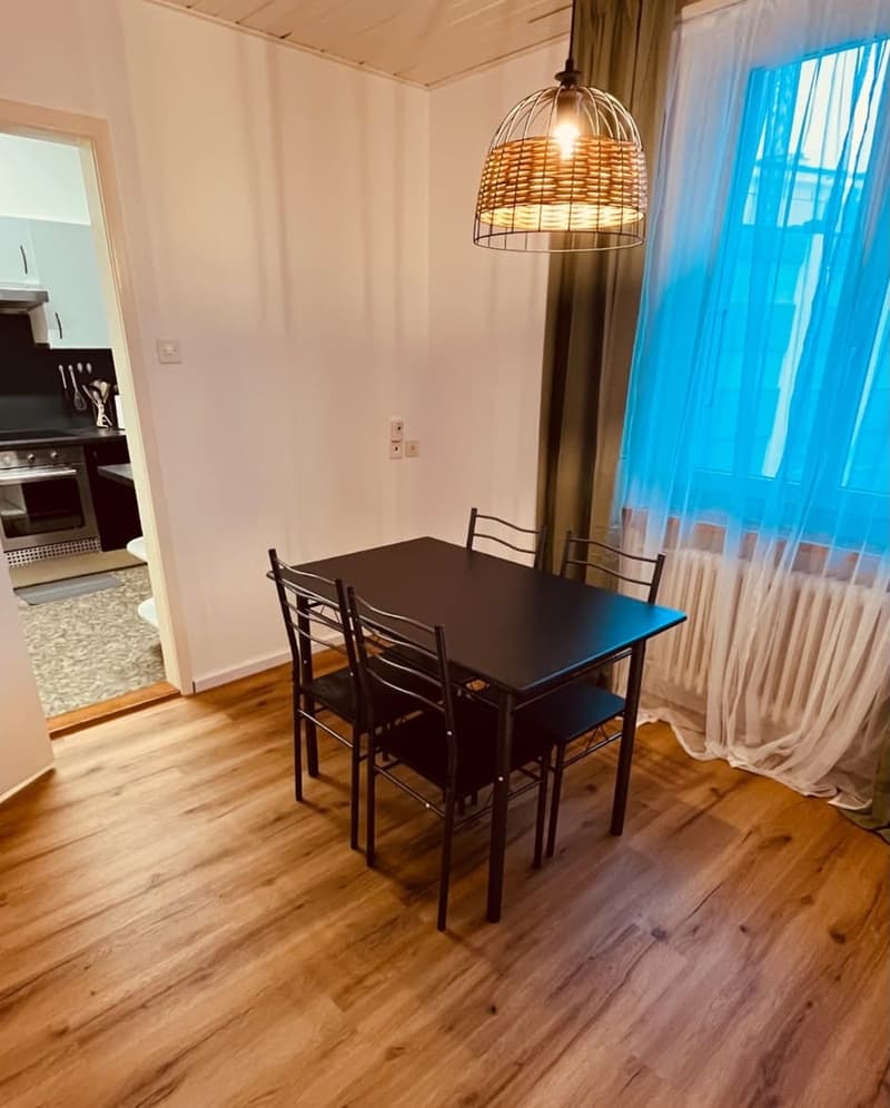Möblierte 2.5-Zimmer Wohnung im Herzen von Thun (7)