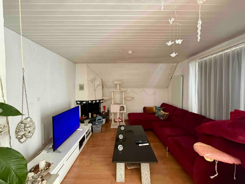 6.5-Zimmer-Haus mit Gewerbeanteil in Zuchwil kaufen (7)
