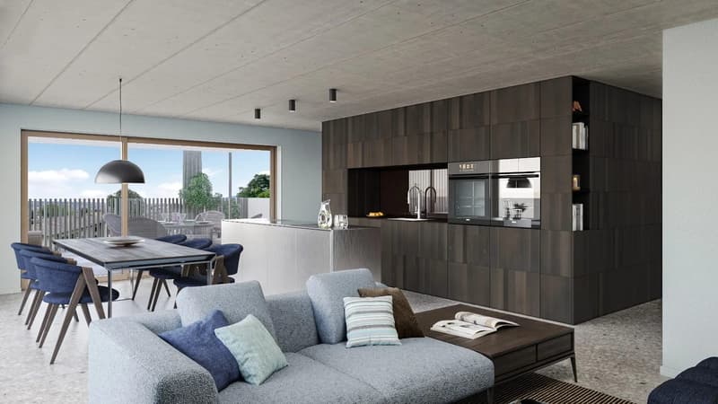 3.5 Zimmer Attikawohnung mit 114 m² Terrasse (3)