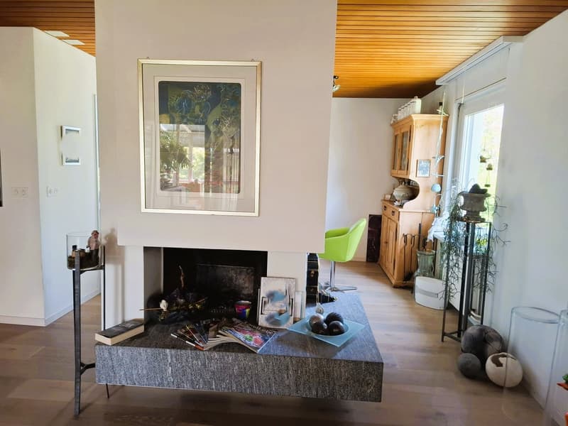 Einfamilienhaus mit Wintergarten (einseitig angebaut) (4)