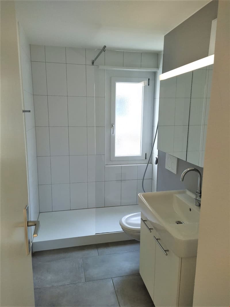 Helle, renovierte Wohnung mit angenehmer Nachbarschaft... (4)