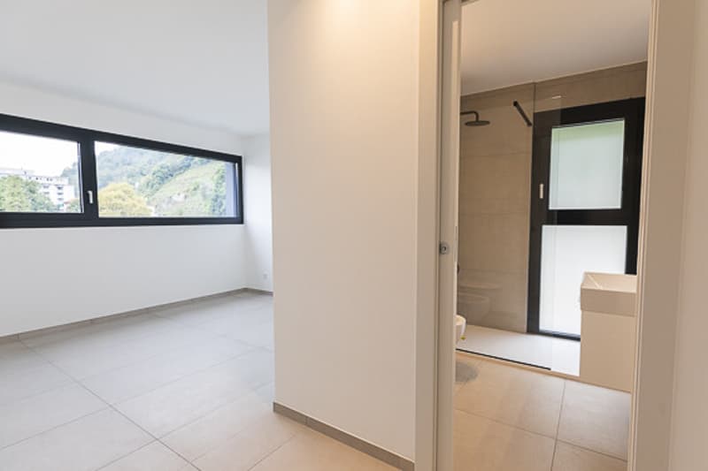 3.5 LOCARNO: LâEQUILIBRIO PERFETTO TRA CENTRO E COMFORT (6)