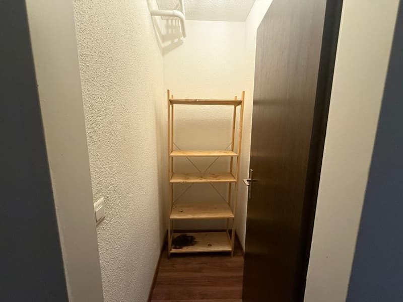 Charmante 3.5-Zimmer-Wohnung in Brunnen – sofort bezugsbereit (13)