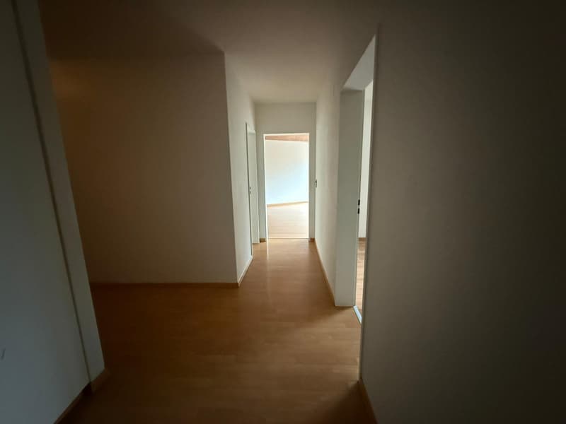 Charmante 3.5-Zimmer-Wohnung in Brunnen – sofort bezugsbereit (9)