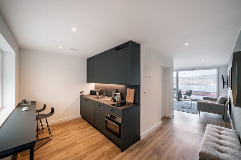Apartments mit Designer Möblierung und voller Seesicht in Horgen/Zürich/Zug/Pfäffikon. (5)