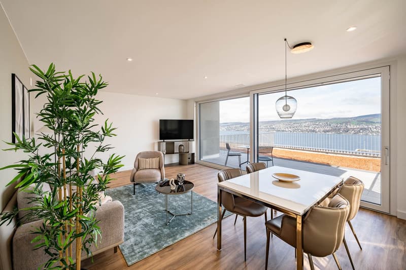 Apartments mit Designer Möblierung und voller Seesicht in Horgen/Zürich/Zug/Pfäffikon. (2)