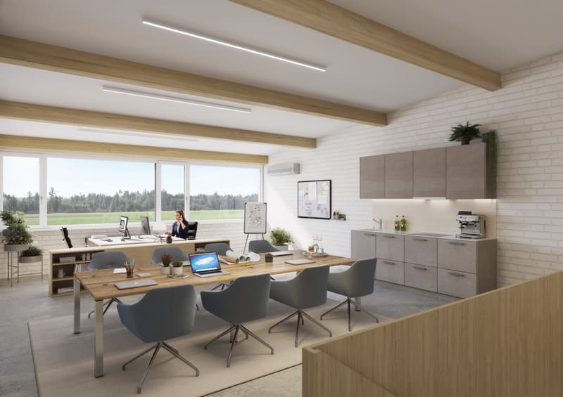 modern interior, large windows, long table, office chairs, woman working, meeting room