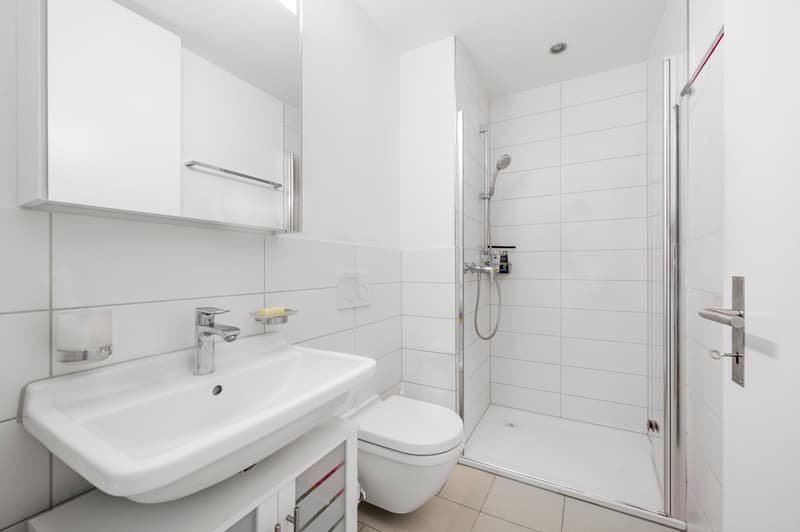 Moderne 4.5-Zimmer-Erdgeschosswohnung mit eigenem Rosengarten (7)