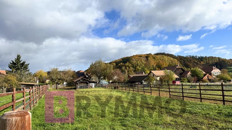 Magnifique ferme équestre rénovée – 3 appartements – Ogens (VD) (3)