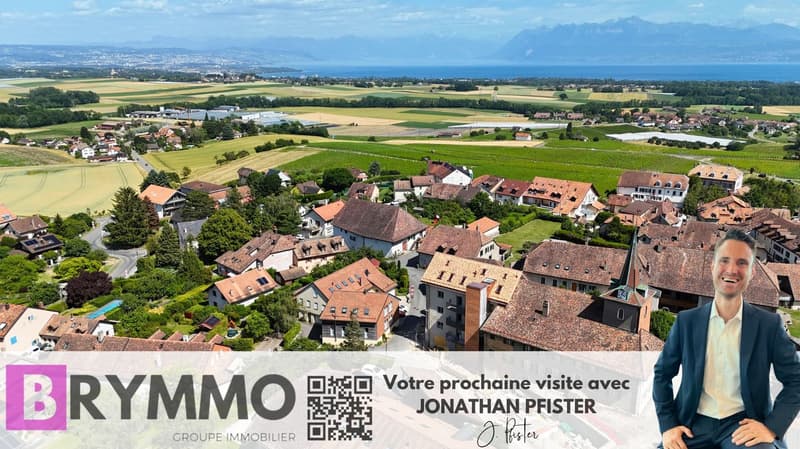 ESPRIT MAISON POUR CE SUPERBE TRIPLEX FAMILIAL DE 4 CHAMBRES À YENS (1)