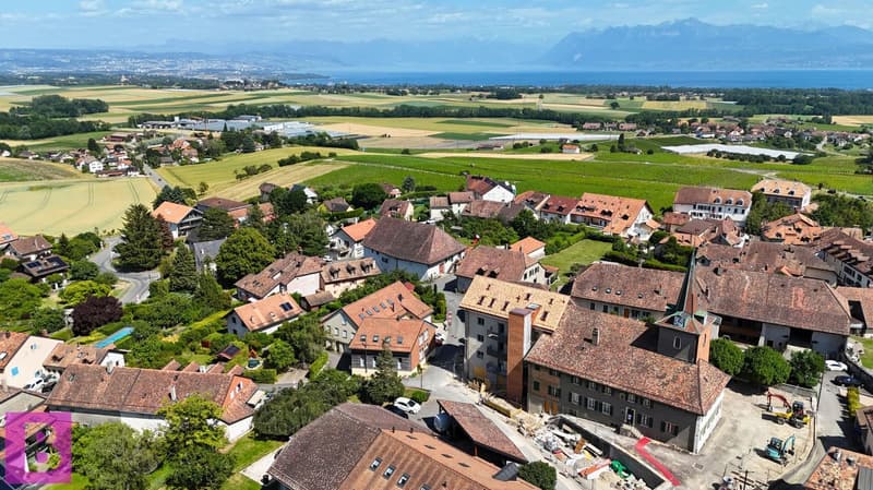 Esprit maison pour ce superbe triplex familial de 4 chambres (14)