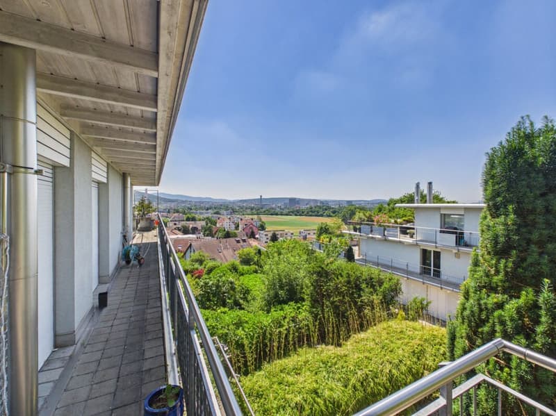Attika Terrassenwohnung in Wallisellen (23)