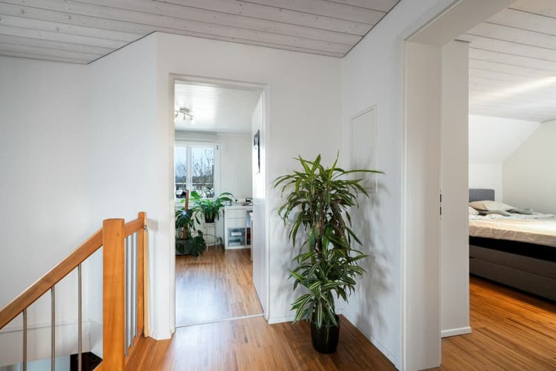 Attractive rental property in the village center (17)