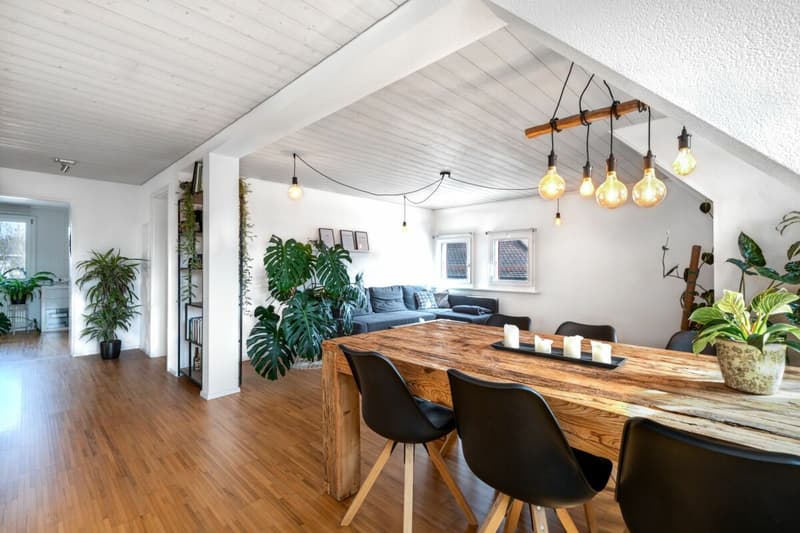 Attractive rental property in the village center (22)
