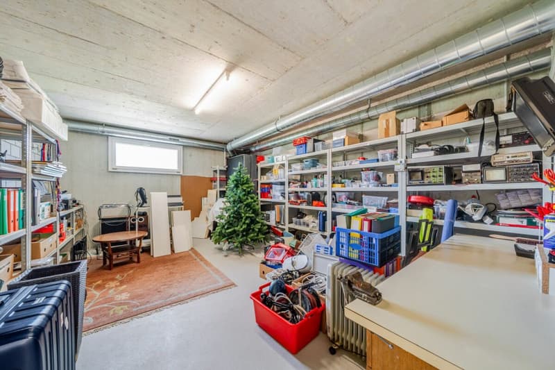Grosszügige 4.5-Zimmer-Wohnung mit Terrasse und Weitsicht (17)