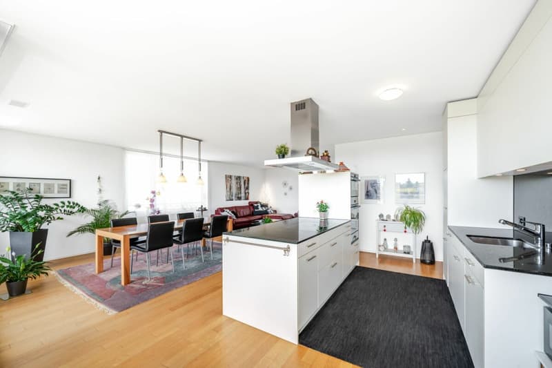 Grosszügige 4.5-Zimmer-Wohnung mit Terrasse und Weitsicht (3)