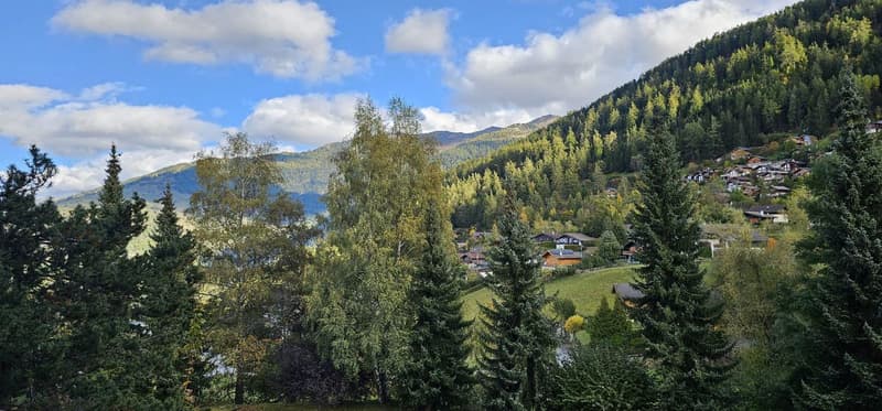 Superbe appartement de standing 4,5 pièces au coeur de Haute-Nendaz (13)