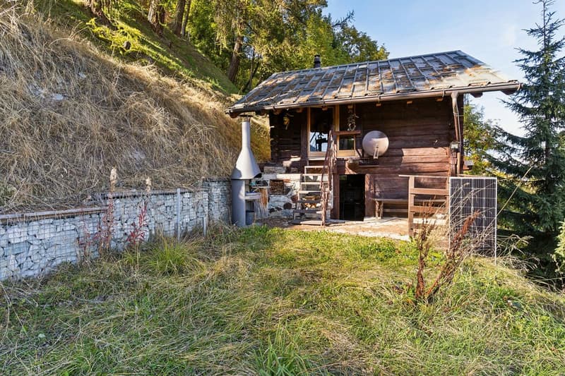 Chalet authentique avec vue sur la Dent Blanche (9)