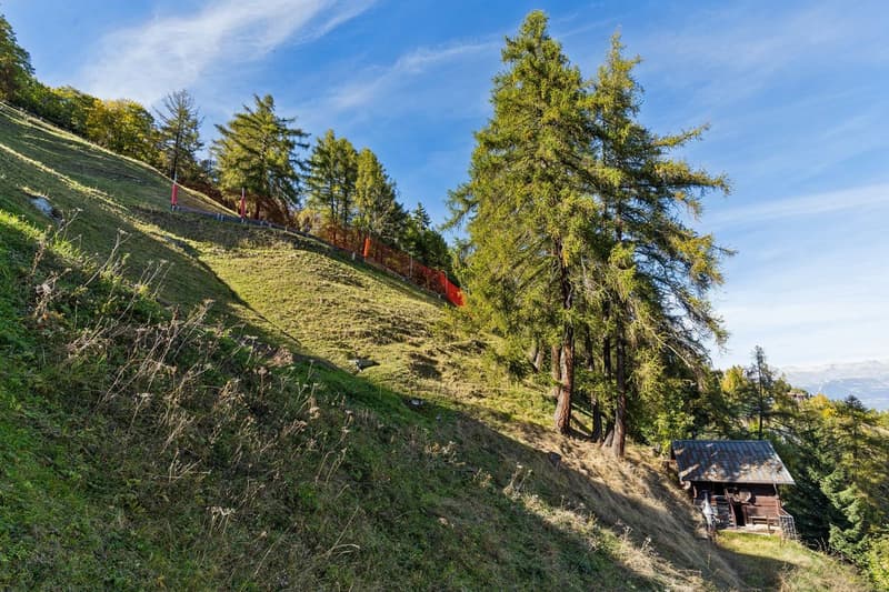 Chalet authentique avec vue sur la Dent Blanche (5)