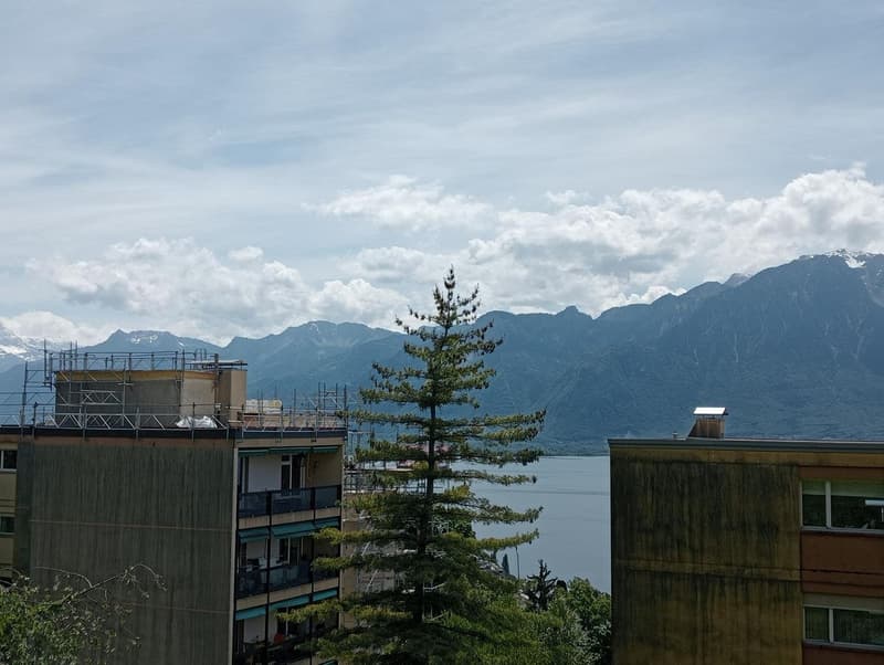 Appartement en rez avec vaste terrasse panoramique à Montreux (6)
